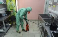 Услуги дезинсекции в Перми